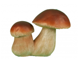 Садовые фигуры грибы