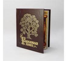 Альбом родословная книга изысканная обложка из экокожи с золочением pm-004-эк