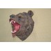 купить Декоративная голова на стену медведь с оскалом (ин-6) 30х36х41см