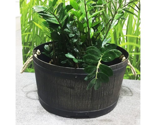 купить Горшок-кадка для цветов и растений ø570x310 planter mambo roto коричневый