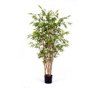 Бамбук новый японский элегант 150 см