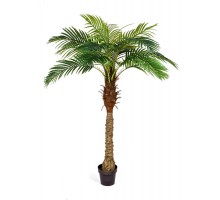 Финиковая пальма новая 160 см