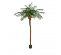Финиковая пальма де люкс 270 см