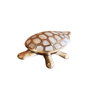 Шкатулка 'черепаха' BE-2001112