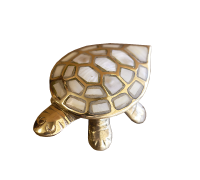 Шкатулка 'черепаха' BE-2001111